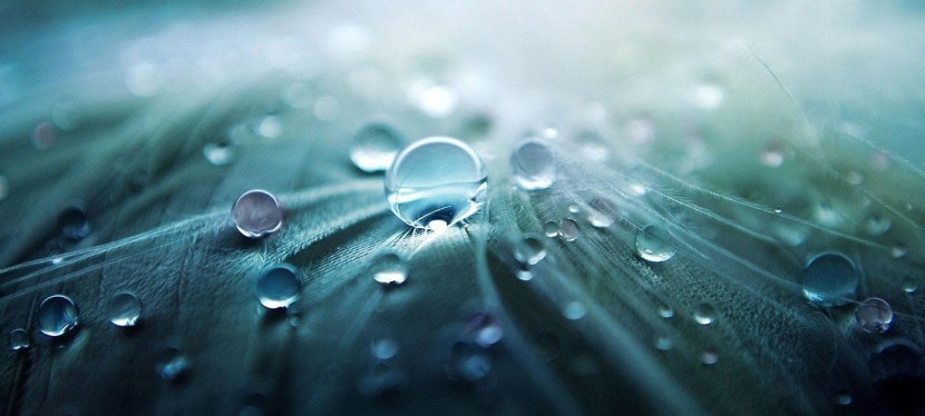 « Adaptabilité, perméabilité, résilience et nourriture intérieure avec le Continuum&nbsp;Movement®»