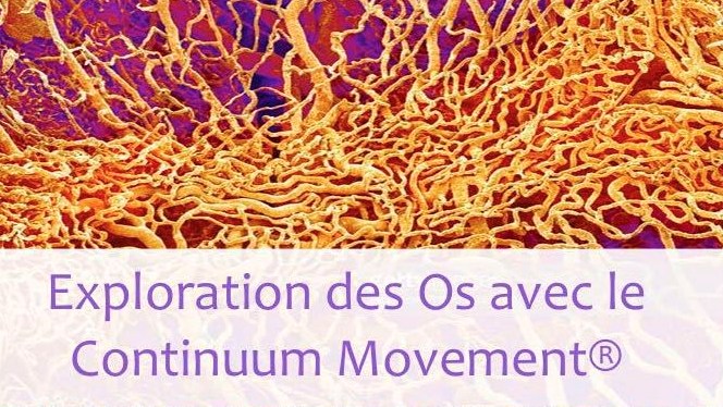 Exploration des Os avec le Continuum Movement® 18 mars 2018&nbsp;Bordeaux