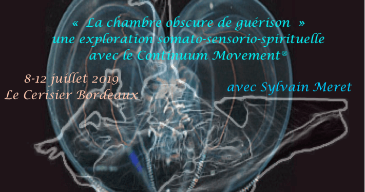 La chambre obscure de guérison,voyage somato-sensorio-spirituel avec le Continuum&nbsp;Movement®