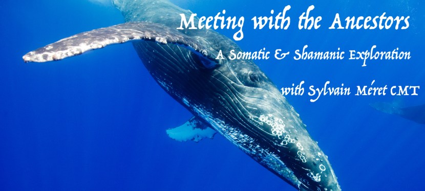 &laquo;&nbsp;Meeting with the Ancestors&nbsp;&raquo; Prague 2-3 November&nbsp;2019