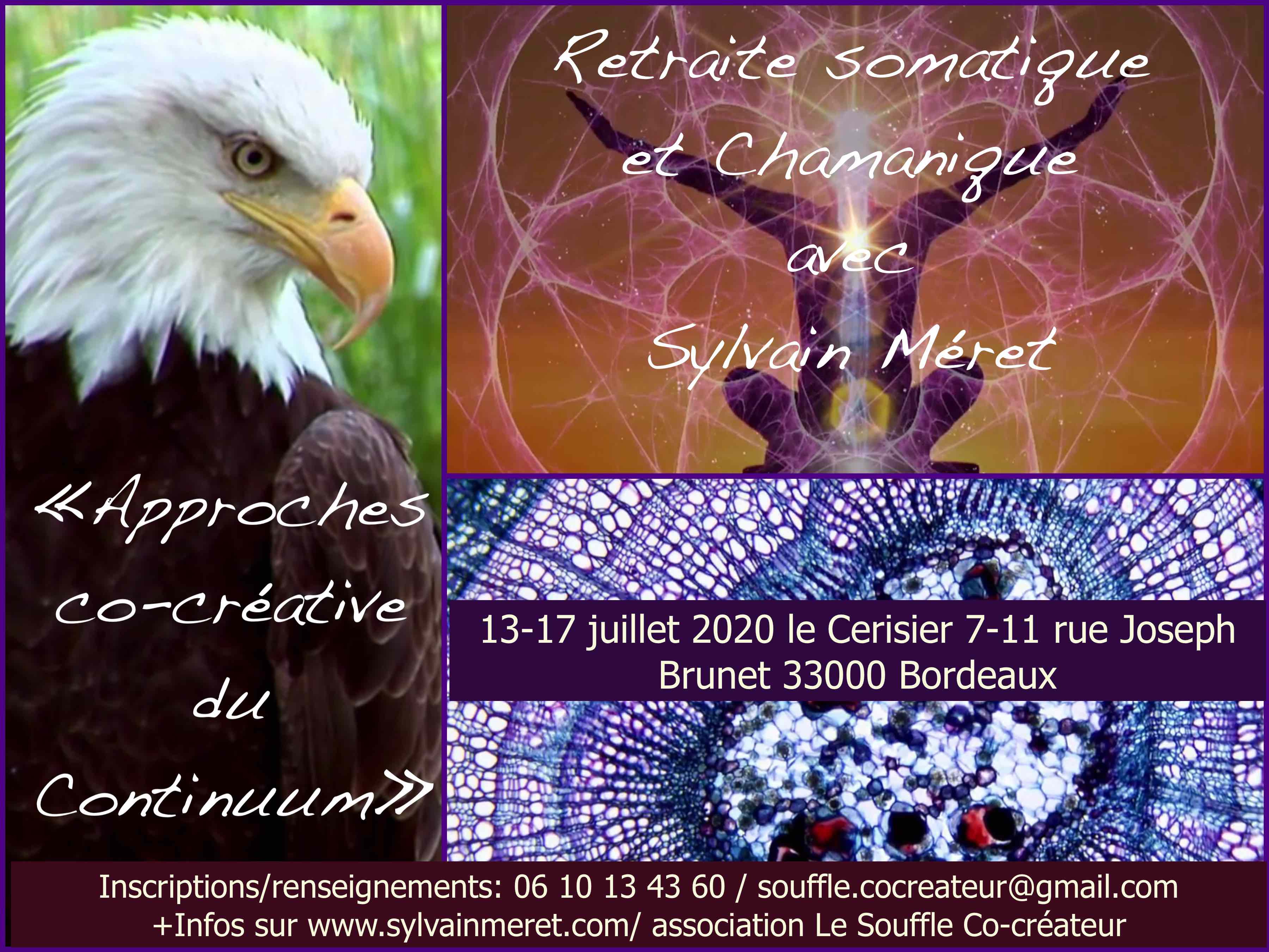 cocreative continuum juillet 2020 flyer