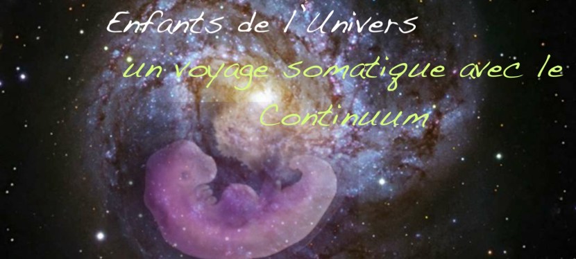 Fruits de la Terre – Enfants de l&rsquo;Univers, une exploration somatique avec le Continuum 28-30 décembre&nbsp;2020