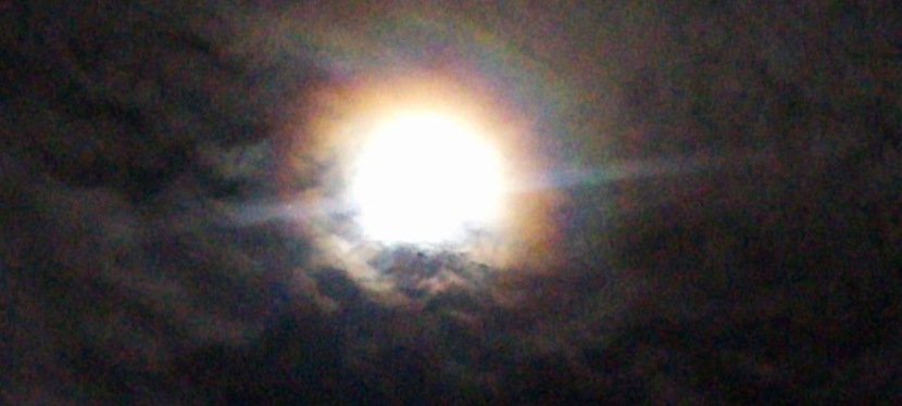 Session d’alignement lunaire via zoom 18 mars 18h – 16 avril&nbsp;20h30